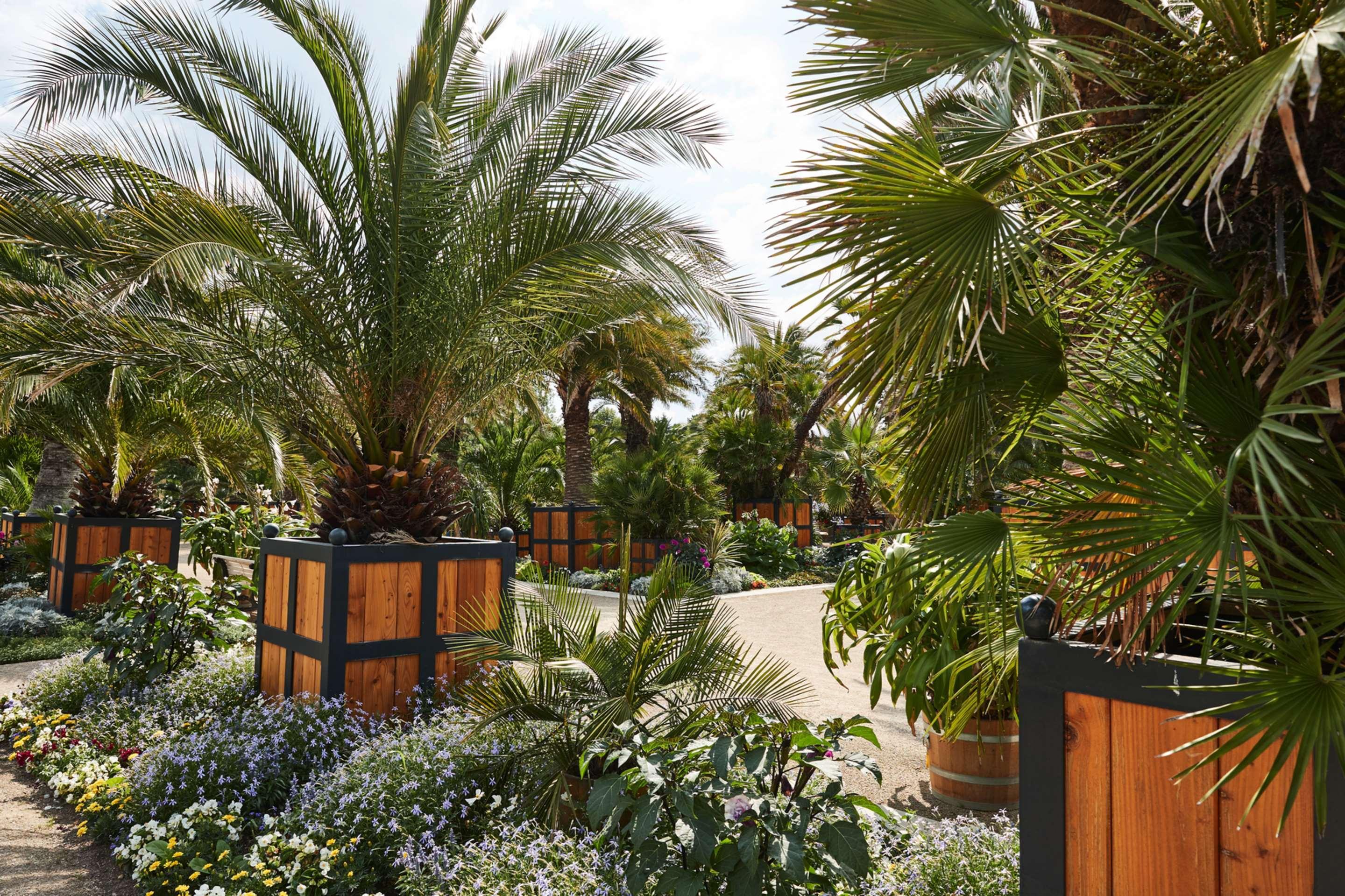 فندق وسبا شتيجنبرجر باد بيرمونت المظهر الخارجي الصورة The Palm House